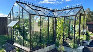 Обзор теплицы Botanik Standard с мини тамбуром