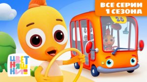 Цветняшки — все серии 1 сезона подряд | мультики для детей | сборник