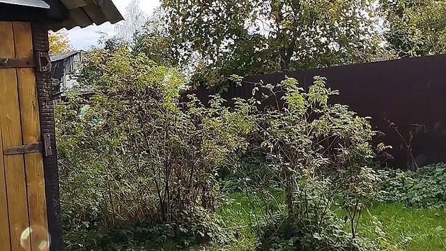 1000097643.mp4"Ольга Уралочка Life": Обзор с щепоткой сарказма и ведром юмора. 😊📺 смотреть онлайн