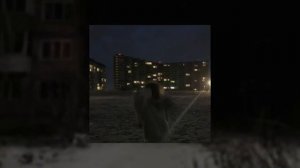 плейлист песен на вечер | Speed up