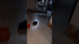 1000000927.mp4