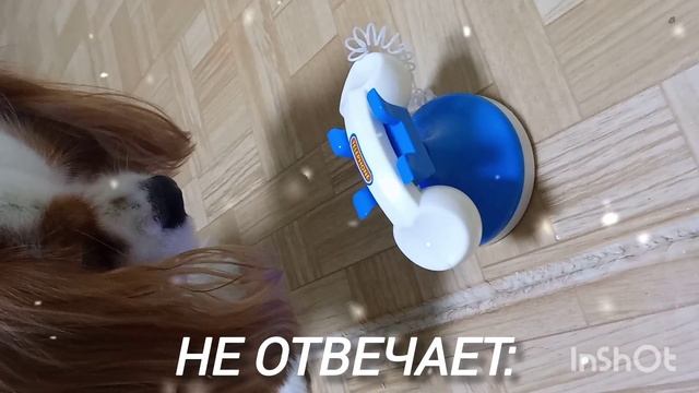 Белла и пуша часть 3 телефон смотреть онлайн