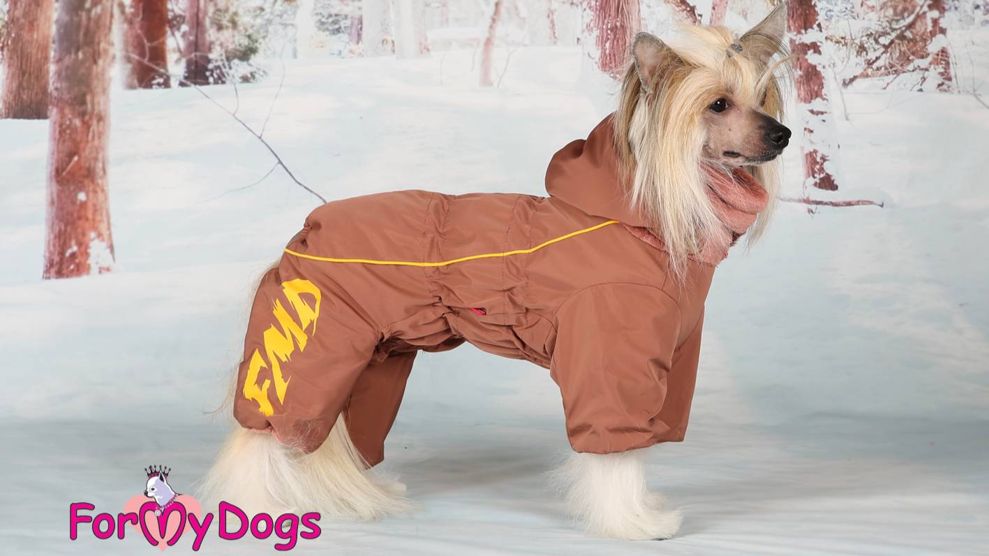 How to wear an overall from ForMyDogs correctly смотреть онлайн