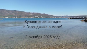 Купаются ли сегодня в Геленджике в море? Начало октября 2025 года