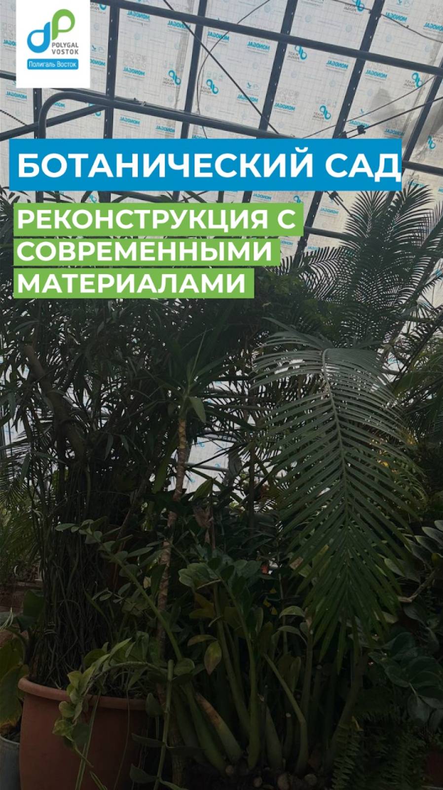 🌿 Ботанический сад Пермского университета смотреть онлайн