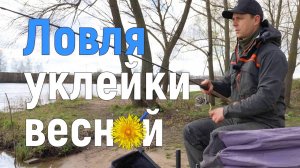 Ловля уклейки весной
