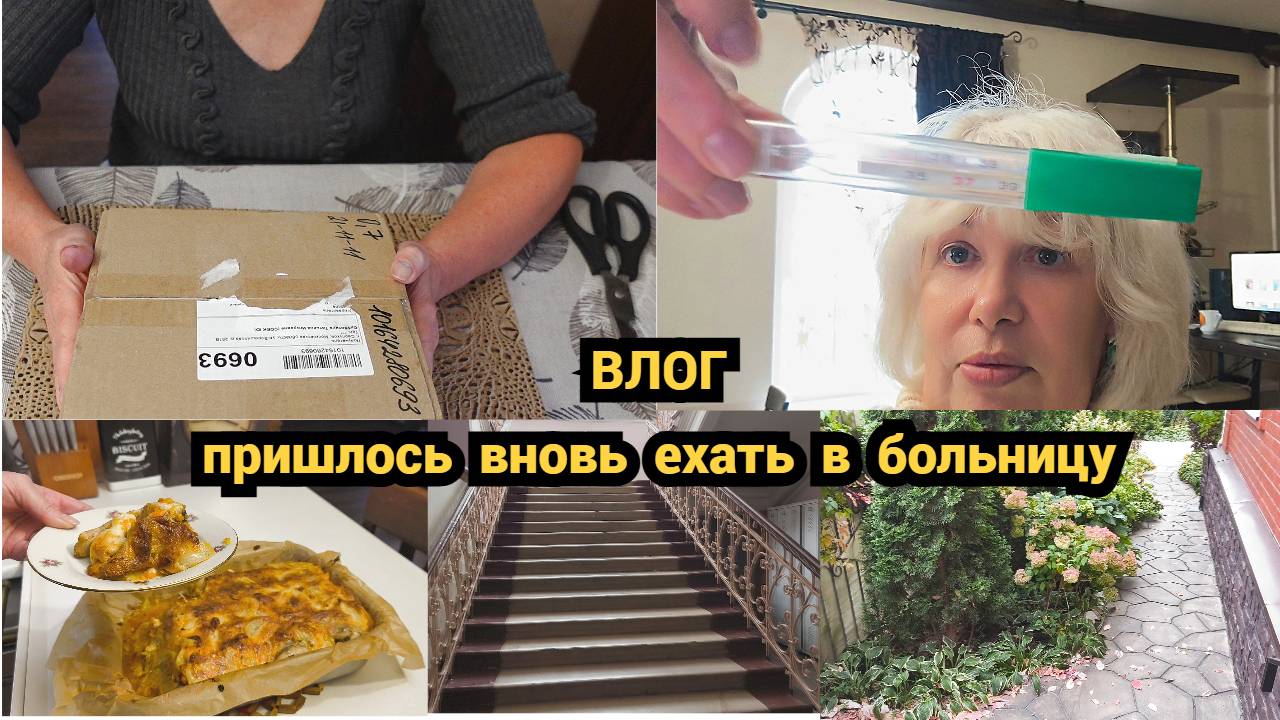 Влог/Пришлось срочно ехать к хирургу/Новые цветы из Индонезии/Запекаю щуку смотреть онлайн