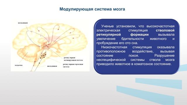 Гладкова Модуль 1   Лекция 6