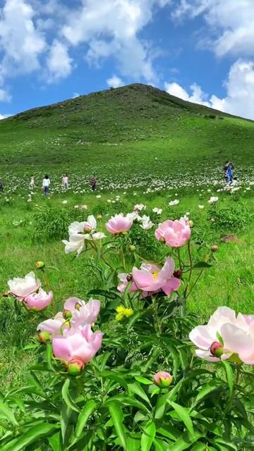 Воспоминания юности.Echoes Of First Love.Buryat Melancholic & Majestic