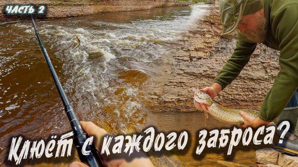 Щука Язь Хариус | Северный Тиман 2025