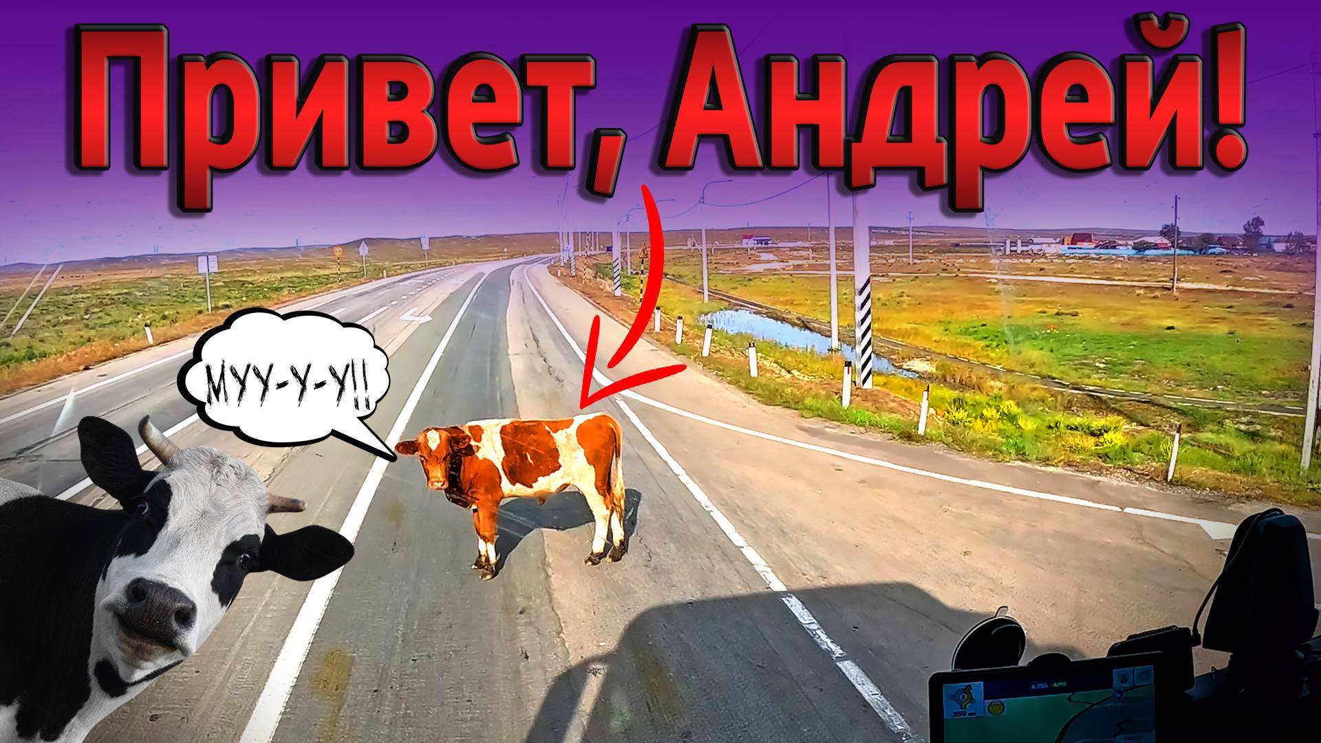 Чуть душа в пятки не ушла))) $1636