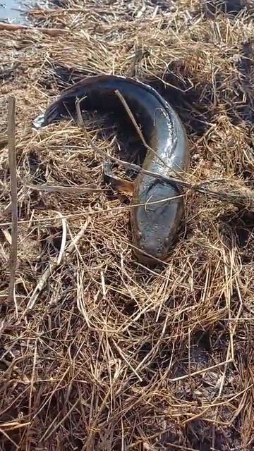 доброта спасёт мир.