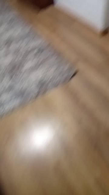 scene_output.mp4 смотреть онлайн