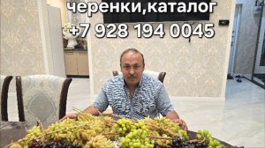 Обзор сортов винограда https://docs.google.com/spreadsheets/d/1Mm1dEPW6VbenwYERDO2PS3keNxQsPo-sJ_ECp