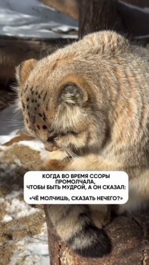Чё сказать нечего