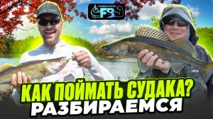 Ловля рыбинских судаков + вкусный рецепт!