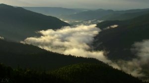 И. С. Бах - Страсти по Матфею – J. S. Bach - St Matthew Passion