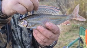 Рыбалка в тайге