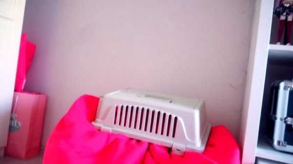 СДЕЛАЛИ ОПЕРАЦИЮ - КУДА ПРОПАЛА БАТТЕРС ?