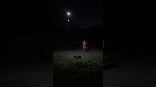 Кемпинговый фонарь: обзор с тестом яркости и жестовым языком смотреть онлайн