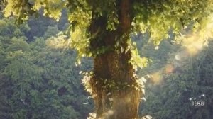 Истории из жизни. Шокирующая встреча Как тайна одна разрушила две семьи. Рассказы онлайн