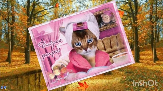 С Добрым утром пятницы.💝🌹💖 Видеооткрытка смотреть онлайн
