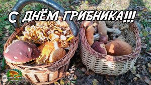 Шок! Грибы растут несмотря ни на что! С днём грибника! Подосиновики везде. Трубчатая лисичка!