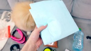 КОТИК, ПЕСИК и Ежик собирают ЧЕМОДАН | Подготовка к Путешествию на ПОЕЗДЕ с Питомцами