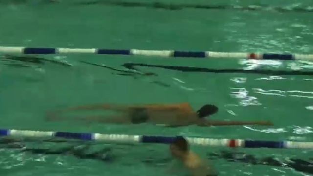 Кроль - упражнения от Александра Попова