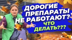 ОДНА ОБРАБОТКА НЕ ПОМОЖЕТ