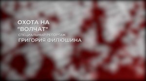 Охота на «волчат» | Специальный репортаж
