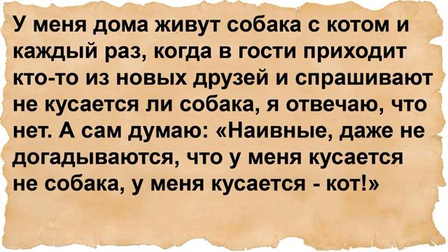 Лесоруб возвращается домой и слышит из спальни стоны жены смотреть онлайн