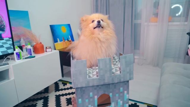 ДОМ для КОШКИ из КАРТОНА | ДОМ МАЙНКРАФТ, ДОМ с ЛИФТОМ и КАЧЕЛИ из КАРТОНА своими руками смотреть онлайн