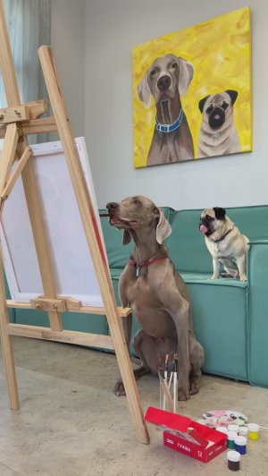 НАШИ СОБАКИ НАУЧИЛИСЬ РИСОВАТЬ 🥰