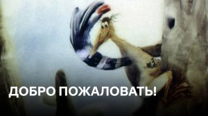 Добро пожаловать! | По мотивам сказок Доктора Сьюза о добром лесе | Советские мультфильмы
