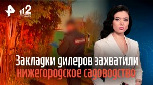 Драгдилеры захватили садоводство и разложили целое поле закладок в Нижегородской области