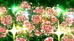 Футажи!!! Видеофоны!!! Футаж Феерия из Роз 8 от Киностудии Мудрого Кота Тимофея!!!