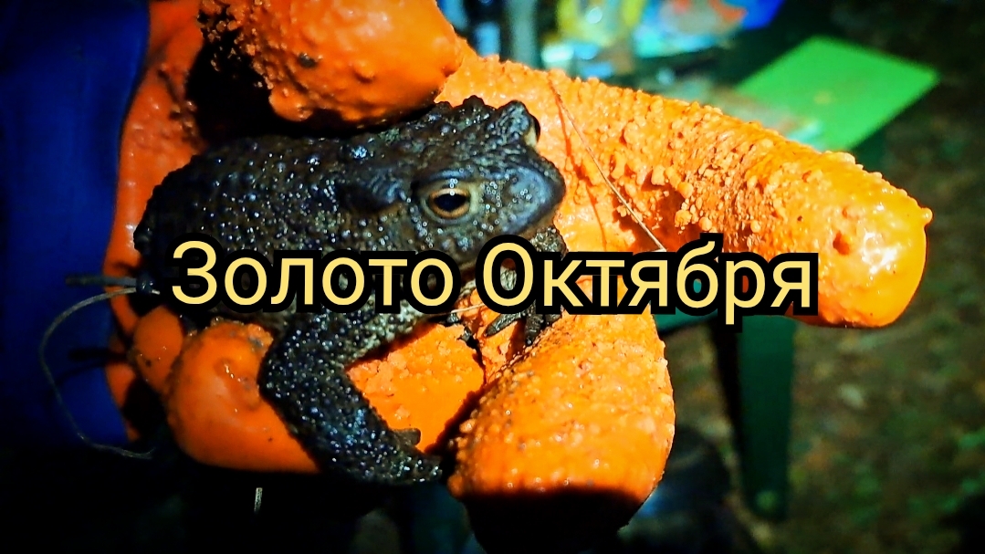 Золото Октября смотреть онлайн