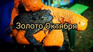 Золото Октября