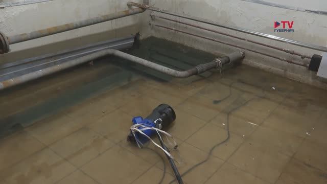 Воронежские журналисты заставили УК очистить подвал многоквартирного дома от нечистот смотреть онлайн