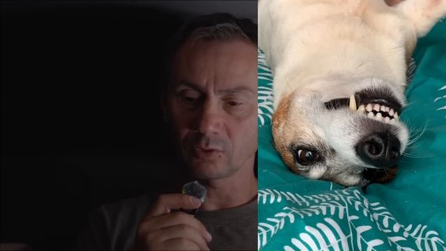 Толстенького с нами больше нет. 09.2025 смотреть онлайн