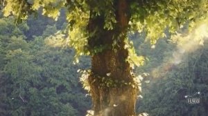 Истории из жизни. Она забрала у меня первую любовь. Рассказы онлайн