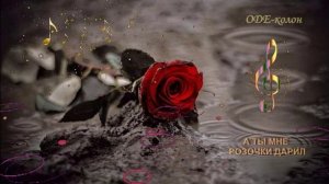 А ты мне розочки дарил