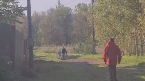 УЕХАТЬ НЕЛЬЗЯ ОСТАТСЯ. Где поставить запятую? Убрали кирпичи теперь они не пропадут