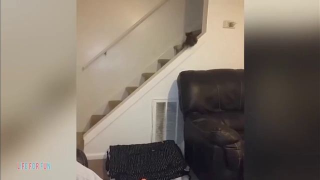 Катали смотреть онлайн