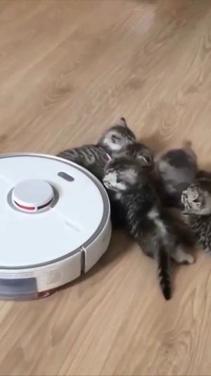 Кажется началось восстание машин