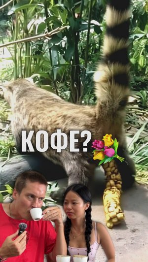 ЭТО ТОЧНО КОФЕ?