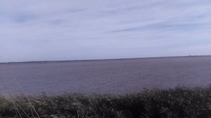 VID_20251003_095959.mp4