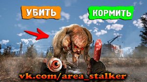 7 СТРАННЫХ МИФОВ STALKER 2 ｜ ВЫДУМКА ИЛИ РЕАЛЬНОСТЬ？