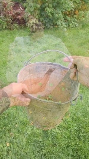 Самоделка приспособление ведро своими руками #diy #полезныесоветы #хитрости #shorts